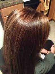 Quot Rich Chocolate Brown With Caramel Color Highlights Quot Not Sure That I Want More Caramel In My Milk Chocolate Hair Color Hair Brown Hair Colors
