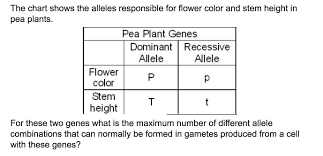 the chart shows the alleles responsible for flower color and