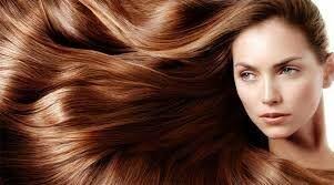 Hair By Tracy Inc, 506 Lake Ave, Lake Worth Beach, FL 33460, US