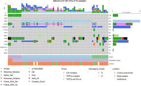 Characterization of the mutational landscape of high-grade gliomas in a  Latin American cohort | medRxiv