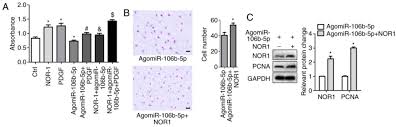 Mir 106b 5p Modulates Acute Pulmonary Embolism Via Nor1 In Pulmonary Artery Smooth Muscle Cells Daylight, playing for change version (video short) maroon 5. mir 106b 5p modulates acute pulmonary