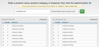 Best Amazon Keyword Tool List To Optimize For Success