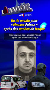 Daniel Falcon Henares