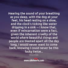 Hearing The Sound Of Your Breathing As You Sleep With The Dog Idlehearts