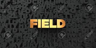 This is an update to a story we first brought you last week. Field Gold Text On Black Background 3d Rendered Royalty Free Stock Picture This Image Can Be Used For An Online Website Banner Ad Or A Print Postcard Stock Photo Picture