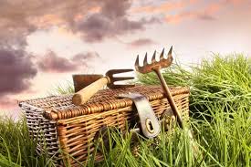 Maybe you would like to learn more about one of these? An Easy Guide To Help Keep Garden Tools Rust Free