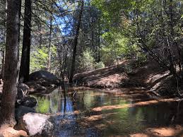Seven bridges trail colorado springs. Hike Seven Bridges An Easy 4 Mile Family Hike