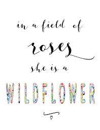 And for once, i will not pick this she was a wild flower in a skyscraper forest poking her sun fire petals out through cracks in the cement. In A Field Of Roses She Is A Wildflower Print Hippie Quotes Flower Child Quotes Rose Quotes