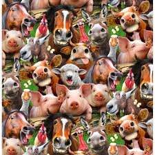 Farm Animal Selfies Per Yd Elizabeth S Studio Packed Farm Animals Designed By Howard Robinson Farm Animal Fabric Farm Animals Animal Decor