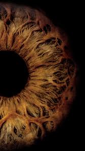 Pin Von Ryan Todd Auf Iris Fotografie Iris Fotografie Augen Fotografie Kunst Lernen