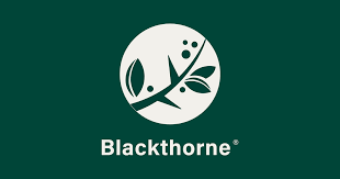 Image result for Blackthorne