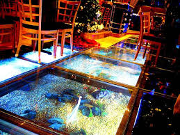 Floor Aquarium Aquarium Luxury Pools Indoor Water Wonders
