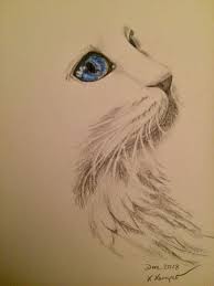 bleistiftzeichnung katze blaue augen bleistiftzeichnung zeichnungen katze malen