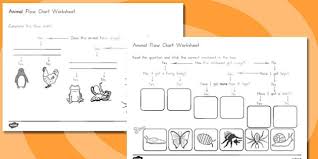 Animal Flow Chart Worksheets Australia Animal Flow Chart