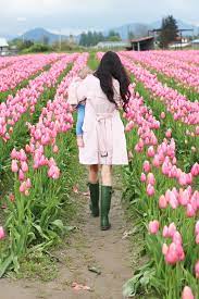 Exploring The Tulips Tulips Pink Peonies Tulip Festival Washington