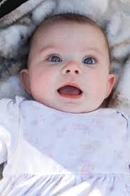 I just had to photograph this beauty.