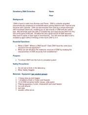 We would like to show you a description here but the site won't allow us. Dna Extraction Lab Strawberry Dna Extraction Name Hour Background Dna Is Found In Cells From Animals And Plants Dna Is A Double Stranded Macromolecule Course Hero