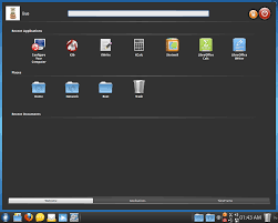 Image result for metisse mandriva