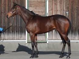 We did not find results for: Yacymppcqytpxm