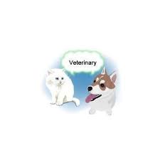 vyzov veterinara na dom veterinarnaya klinika kastraciya i sterilizaciya zhivotnyh evtanaziya ili gumannoe usyplenie v harkove veterinarnye usl enamel pins