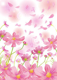 感動と興奮の ドキュメンタリーを堪能しよう！ 11