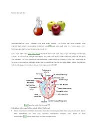 Menyembuhkan hipertensi, diabetes, asid urik, trigliserida. Khasiat Cuka Epal Sider