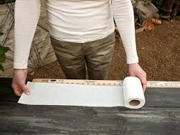 Make Toilet Paper Seed Tape Seed Tape Starting Seeds Indoors Seeds