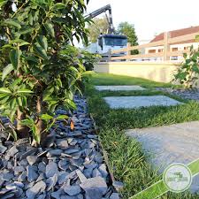 Plantes, fleurs et produits jardin à la vente. Ardoise Pilee