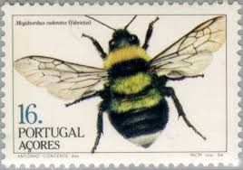 Stamp Large Garden Bumblebee Megabombus Ruderatus Azores Insects Of The Azores Mi Pt Az 365a Sn Pt Az 345 Yt Pt Az 354 Sg Pt Insects Post Stamp Bee Art