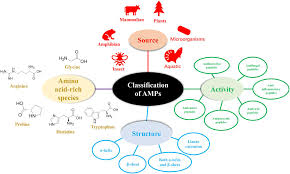 Maybe you would like to learn more about one of these? Frontiers Antimicrobial Peptides Classification Design Application And Research Progress In Multiple Fields Microbiology