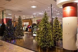 In 2003, christmas tree shops became part of the bed bath & beyond family and expanded beyond the northeast, to 80 stores in 20 states. There S An Indoor Christmas Tree Lot At Nordstrom In Bellevue Seattle Refined