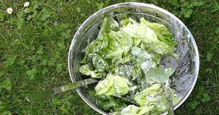 Du brauchst einfach nur honig, senf, zitronensaft, öl und ein paar gewürze zu vermengen und schon ist dein salatdressing fertig. Barbaras Spielwiese Gruner Salat Mit Joghurt Dressing