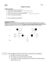 Student teaching work sample from pedigree worksheet answer key , source: Pedigrees Practice Worksheet Answers Worksheet List