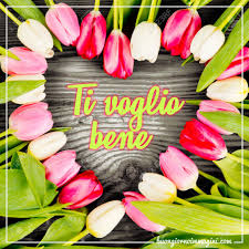 I tulipani sono fiori da bulbo. Cuore Di Fiori Tulipani Ti Voglio Bene