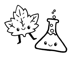 Estas portadas de ciencias naturales para colegio son caratulas hechas a mano, para descargar dibujos para pintar y colorear. Character Fictional Characters Art