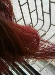 Ive been craving some new hair whos this? vibes and i decided to dye one of my wigs. I Have Black Hair And I Want To Dye It Dark Red Without Using Bleach How Can I Make The Dark Red Stand Out In My Hair Quora