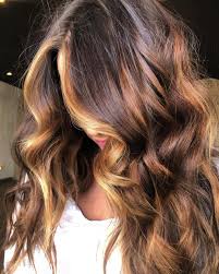 However, it can be difficult to bring out these colors when dyeing dark hair, especially by preparing the hair, using high quality products, and doing regular maintenance, you can ensure that red highlights will look great in your black hair. 50 Dark Brown Hair With Highlights Ideas For 2020 Hair Adviser
