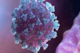 The world health organization (who) rates it as a risk group 4 pathogen (requirin. Marburg Virus Related To Ebola Detected In West Africa For First Time Says Who