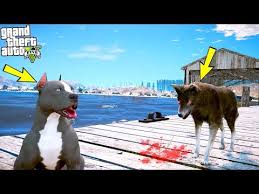 8 Sokak Kopegi 1 Yavru Pitbulla Bogusuyor Gta 5 Youtube