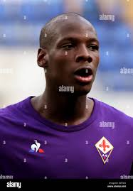 Fiorentina bryan hi-res stock photography and images