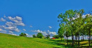 Kantono Marion (Alabamo)