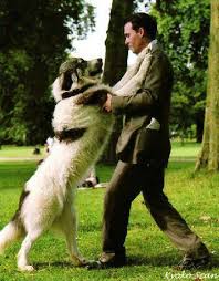 Love This Pic Billeder