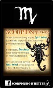 It is also metaphor, often humorous, for someone or something a person relates to or admires. Pin By Cocoa Chocolat On Scorpios Do It Better Your Spirit Animal Spirit Guides Power Animal