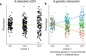 They are not very accurate at all. Leveraging Phenotypic Variability To Identify Genetic Interactions In Human Phenotypes Biorxiv
