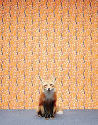 You have the possibility to download the archive with. Fantastic Mr Fox