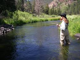 Check spelling or type a new query. Northern New Mexico Fly Fishing The Solitary Angler