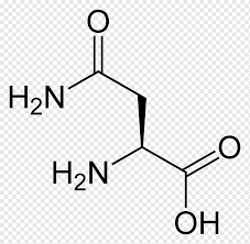 Besuche unseren shop noch heute. Acetic Acid Amino Acid Chemical Formula Chemical Substance Asparagine Angle Text Acid Png Pngwing