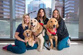 Does animal assisted therapy work? Animal Assisted Therapy Texas Children S Hospital