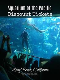 Aquarium Of The Pacific Discount 12 50 Giveaway Any Tots Long Beach Aquarium Long Beach California Pacific
