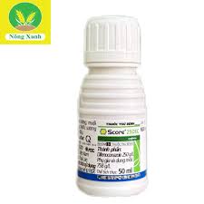 Score® 250EC